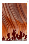 Close up Apache Jasper by Anonymous