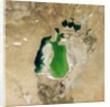 Satellite view of the Aral Sea in 2001, with the 1960 shoreline super-imposed by Anonymous