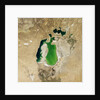 Satellite view of the Aral Sea in 2001, with the 1960 shoreline super-imposed by Anonymous
