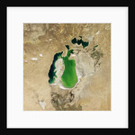 Satellite view of the Aral Sea in 2001, with the 1960 shoreline super-imposed by Anonymous