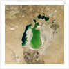 Satellite view of the Aral Sea in 2001, with the 1960 shoreline super-imposed by Anonymous