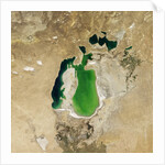 Satellite view of the Aral Sea in 2001, with the 1960 shoreline super-imposed by Anonymous