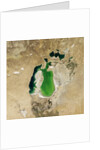 Satellite view of the Aral Sea in 2001, with the 1960 shoreline super-imposed by Anonymous