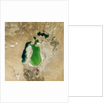 Satellite view of the Aral Sea in 2001, with the 1960 shoreline super-imposed by Anonymous