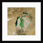 Satellite view of the Aral Sea in 2002, with the 1960 shoreline super-imposed by Anonymous