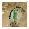 Satellite view of the Aral Sea in 2002, with the 1960 shoreline super-imposed by Anonymous