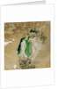 Satellite view of the Aral Sea in 2002, with the 1960 shoreline super-imposed by Anonymous