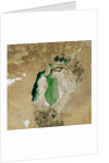 Satellite view of the Aral Sea in 2002, with the 1960 shoreline super-imposed by Anonymous