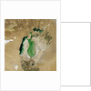 Satellite view of the Aral Sea in 2002, with the 1960 shoreline super-imposed by Anonymous