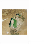 Satellite view of the Aral Sea in 2002, with the 1960 shoreline super-imposed by Anonymous