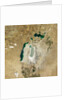 Satellite view of the Aral Sea in 2008, with the 1960 shoreline super-imposed by Anonymous