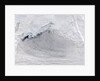 Cloud Streets in the Bering Sea by Anonymous