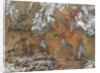 Satellite view of the Grand Canyon by Anonymous