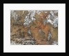 Satellite view of the Grand Canyon by Anonymous