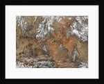 Satellite view of the Grand Canyon by Anonymous