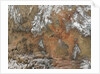 Satellite view of the Grand Canyon by Anonymous