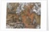Satellite view of the Grand Canyon by Anonymous