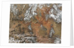 Satellite view of the Grand Canyon by Anonymous