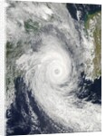 Tropical Cyclone Funso by Anonymous