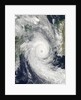 Tropical Cyclone Funso by Anonymous