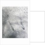 Von Karman Vortices off Chile by Anonymous