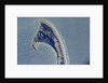 Provincetown Spit, Cape Cod, Massachusetts by Anonymous