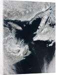 Sea Ice in the Gulf of St. Lawrence by Anonymous