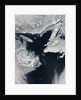 Sea Ice in the Gulf of St. Lawrence by Anonymous