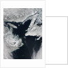 Sea Ice in the Gulf of St. Lawrence by Anonymous