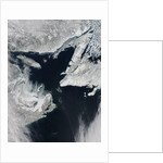 Sea Ice in the Gulf of St. Lawrence by Anonymous