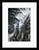 Aoraki/Mount Cook National Park by Anonymous