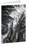 Aoraki/Mount Cook National Park by Anonymous