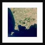 Naples and the Campi Flegrei Volcanic Region by Anonymous