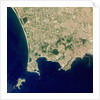 Naples and the Campi Flegrei Volcanic Region by Anonymous