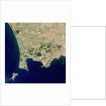 Naples and the Campi Flegrei Volcanic Region by Anonymous