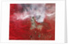Pole Creek Fire Burning in the Oregon Cascades by Anonymous