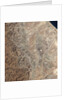 Earth's Crust Exposed in Oman by Anonymous