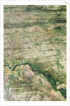 Linear Dunes of the Caprivi Strip, Namibia by Anonymous