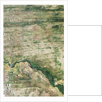 Linear Dunes of the Caprivi Strip, Namibia by Anonymous