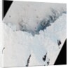 Ice Varieties along Antarctic's Mawson Coast by Anonymous