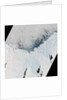 Ice Varieties along Antarctic's Mawson Coast by Anonymous