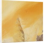 Linear Sand Dunes in the Empty Quarter, Arabian Peninsula by Anonymous