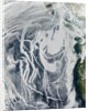 Ship Tracks off North America by Anonymous