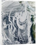 Ship Tracks off North America by Anonymous