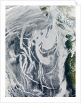 Ship Tracks off North America by Anonymous