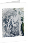 Ship Tracks off North America by Anonymous