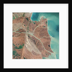 Danube River Delta by Anonymous