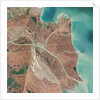 Danube River Delta by Anonymous