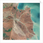 Danube River Delta by Anonymous