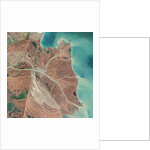 Danube River Delta by Anonymous